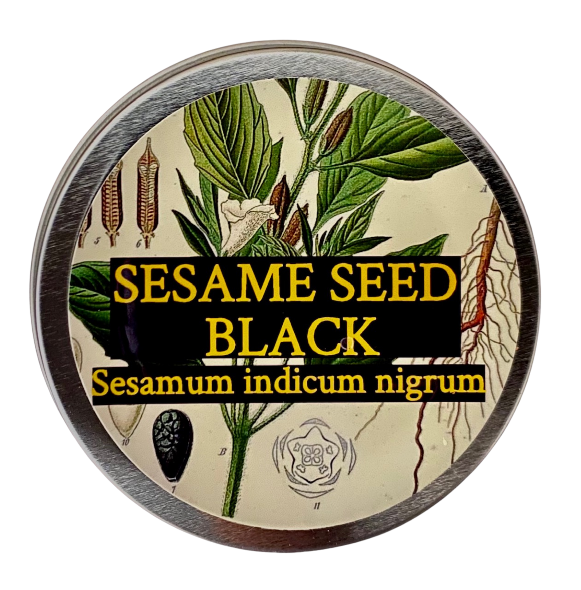 Black Sesame Seed (Sesamum indicum nigrum)