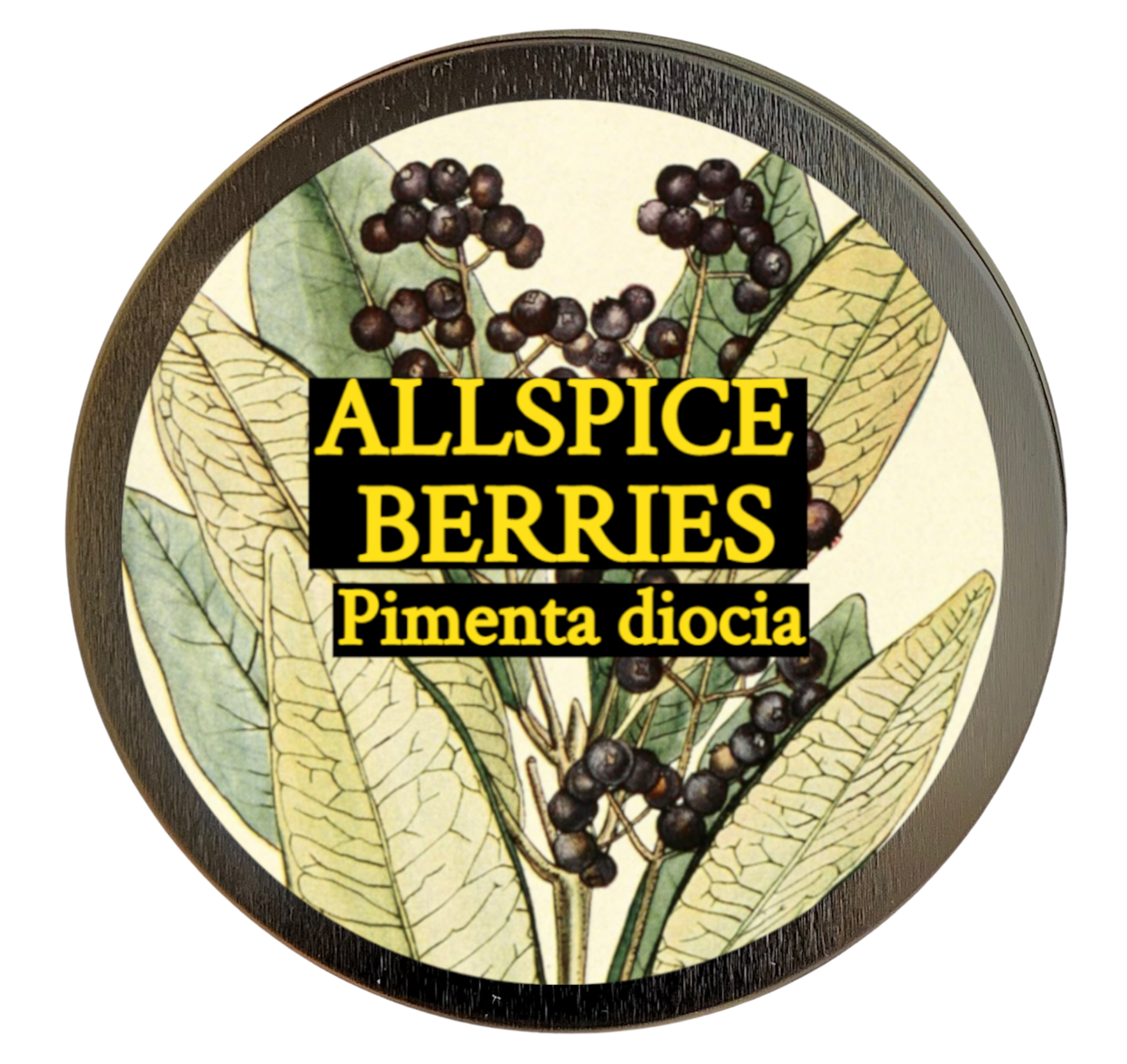 Allspice (Pimenta dioica) 