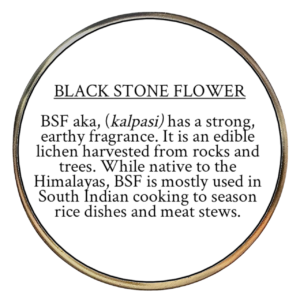 Black Stone Flower (Parmotrema perlatum)