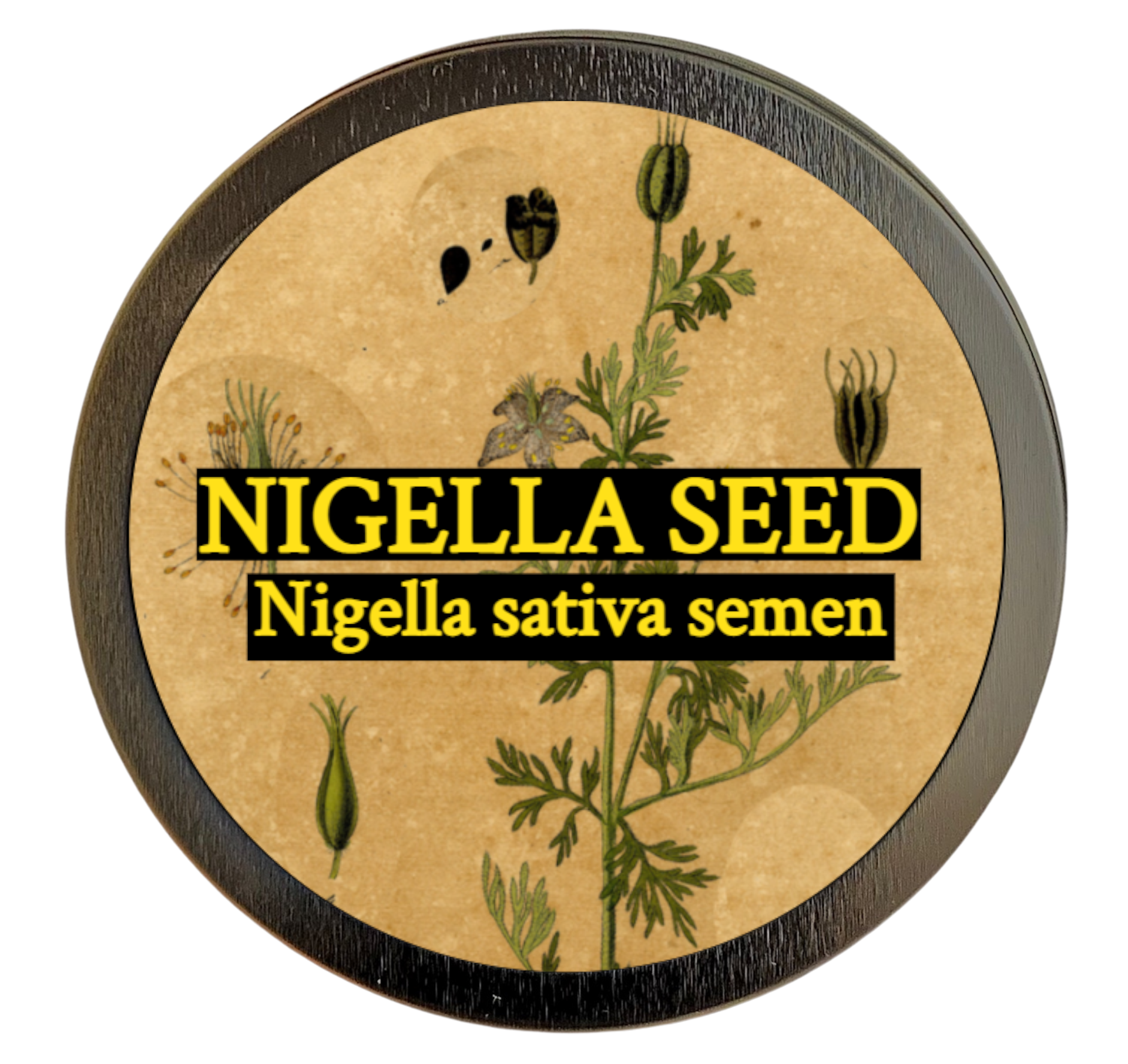 Nigella Seed (Nigella sativa semen)