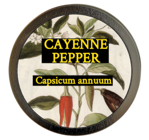 Cayenne Pepper (Capsicum annuum)