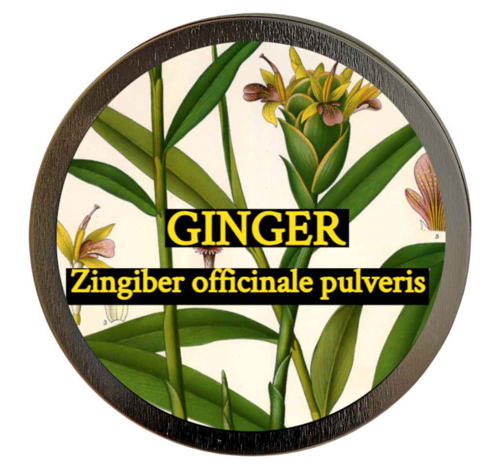 Zingiber officinale pulveris