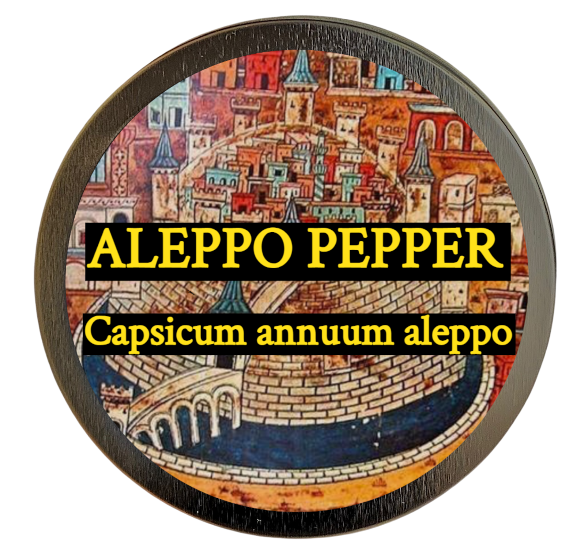 Aleppo Pepper (Capsicum annuum aleppo)