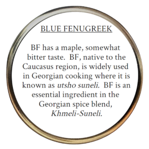 Blue Fenugreek (Trigonella caerulea)