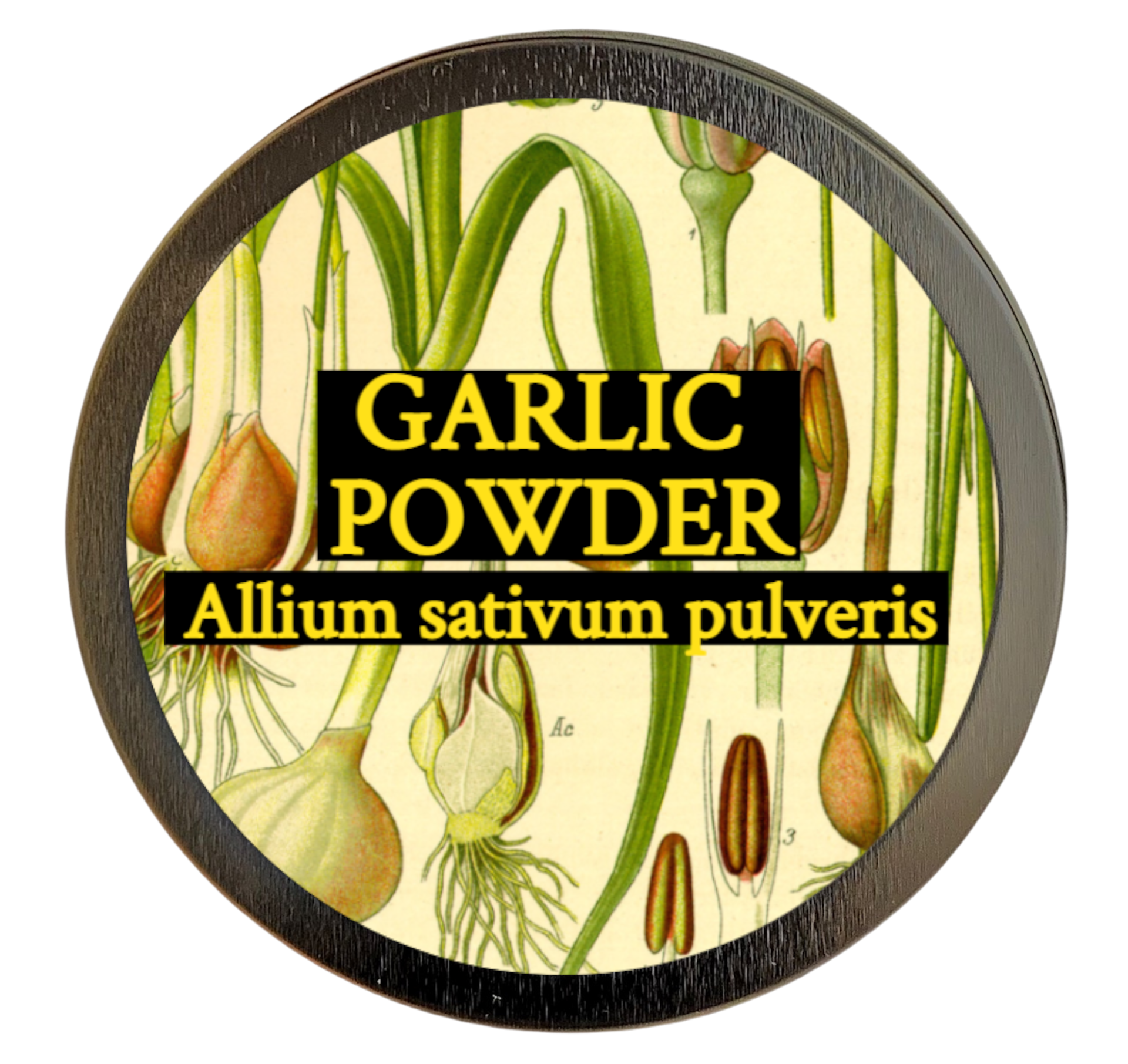 Garlic Powder (Allium sativum pulveris)