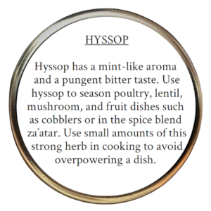 Hyssop (Hyssopus officinalis)
