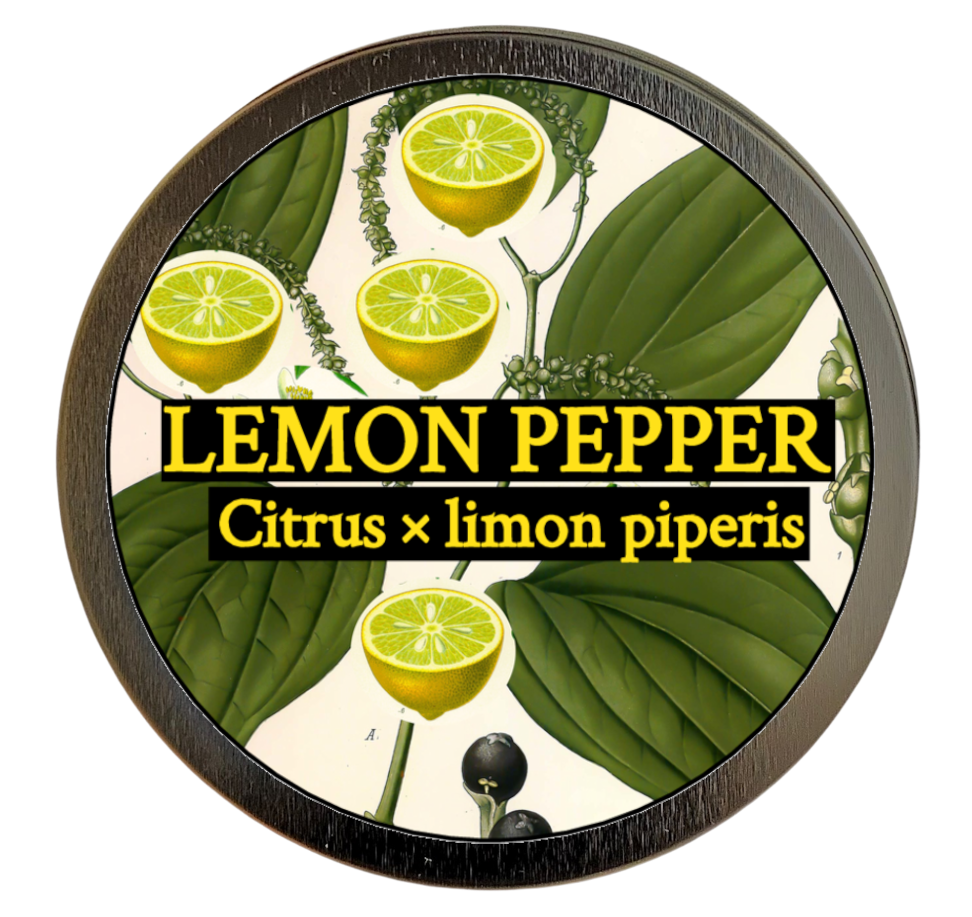 Lemon pepper (Citrus x limon piperis)