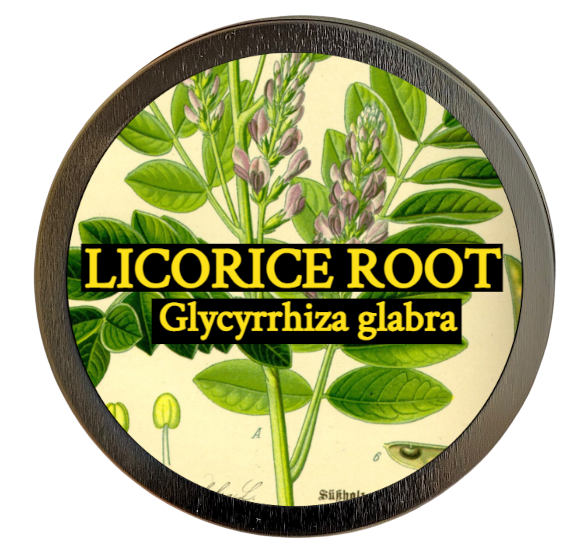 Licorice root (Glycyrrhiza glabra)