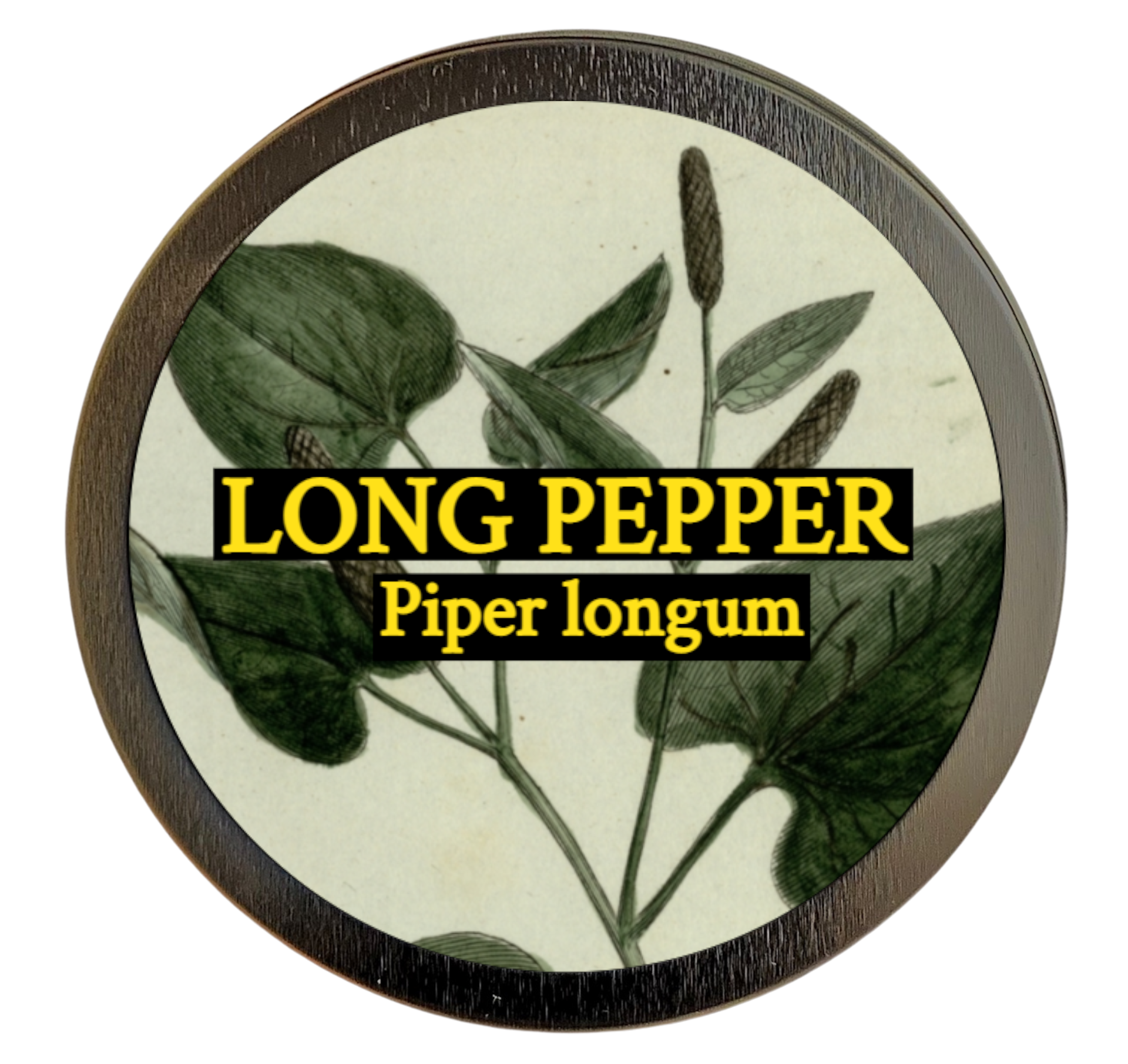 Long Pepper (Piper longum)