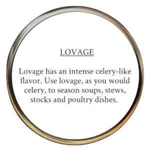 Lovage (Levisticum officinale)