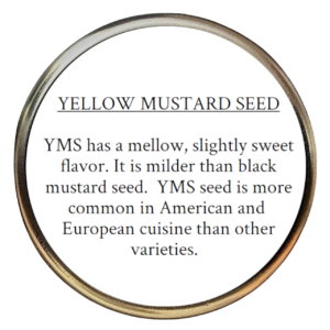 Mustard seed, yellow (Sinapis alba) 