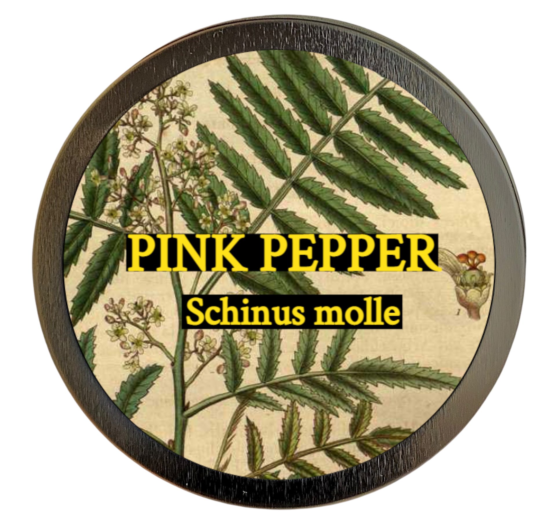 Pink Pepper (Schinus molle)