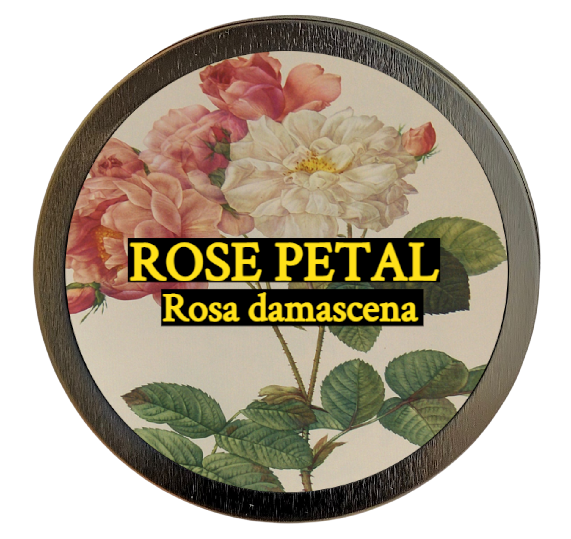 Rose petal (Rosa damascene)