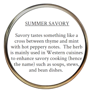 Summer Savory (Satureja hortensis)