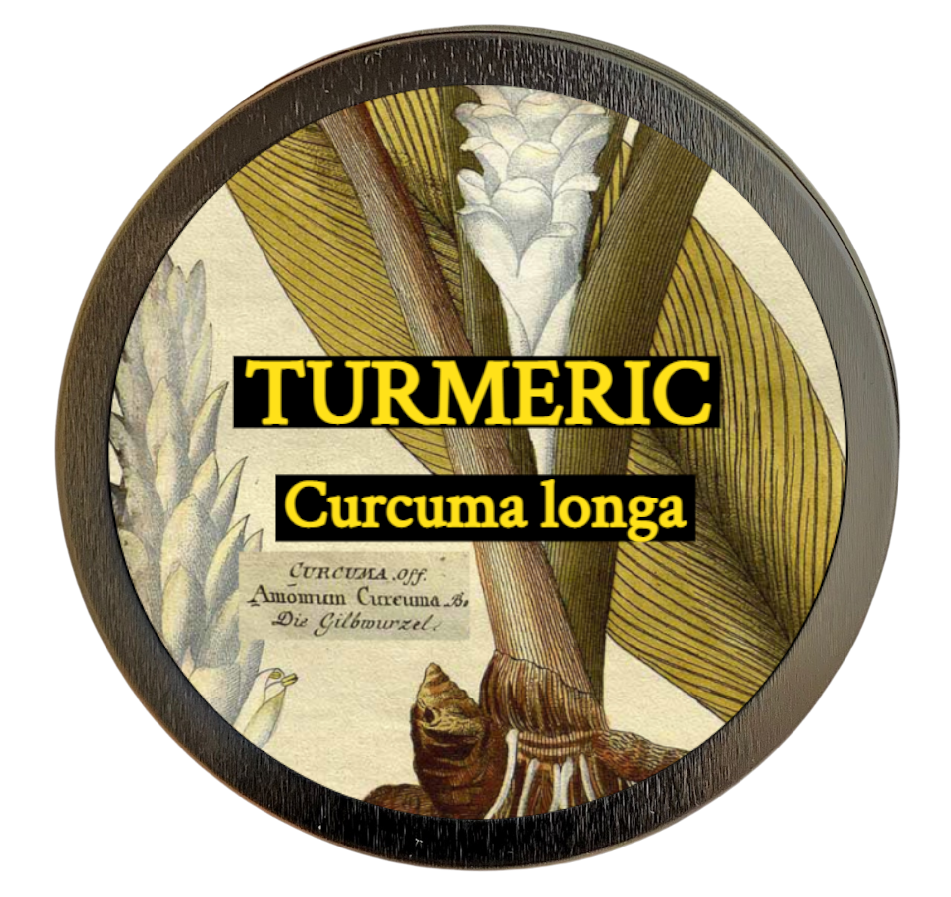 Tumeric (Curcuma longa)