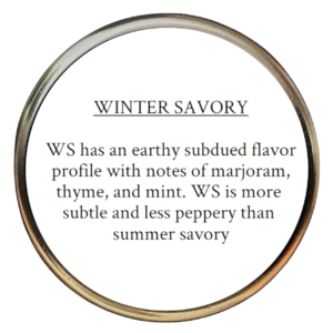 Winter Savory (Satureja montana)