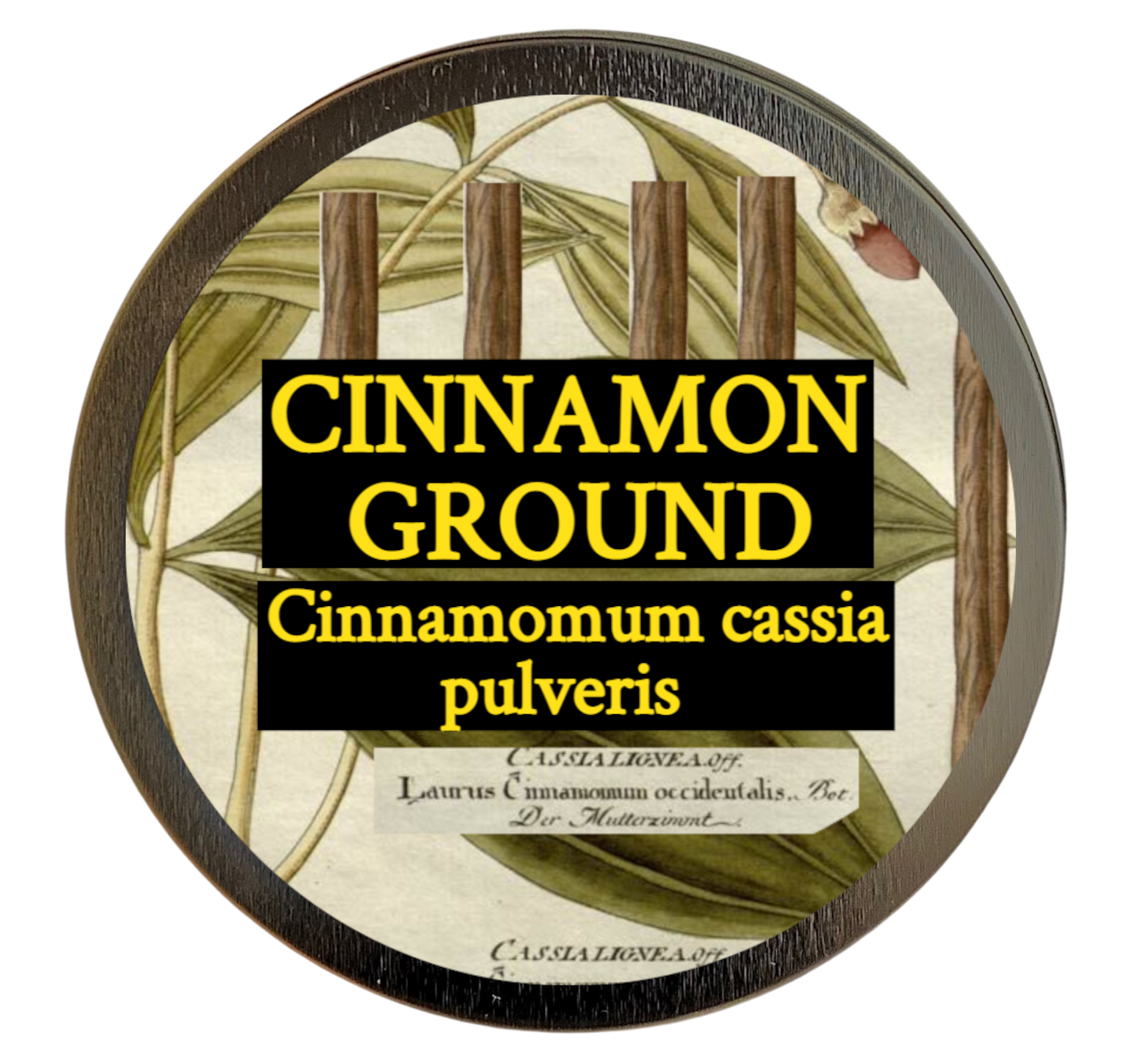 Cinnamon cassia (Cinnamomum aromaticum)