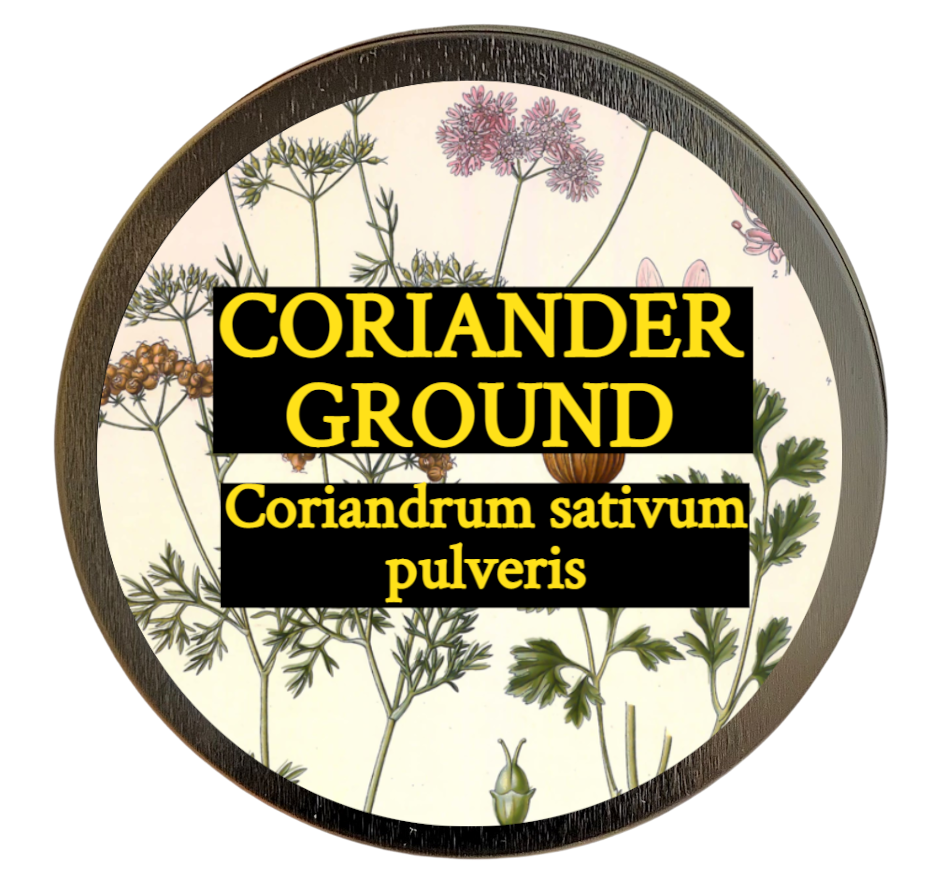Coriander Ground (Coriandrum sativum pulveris)