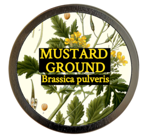 Mustard seed, ground (Brassica pulveris) 