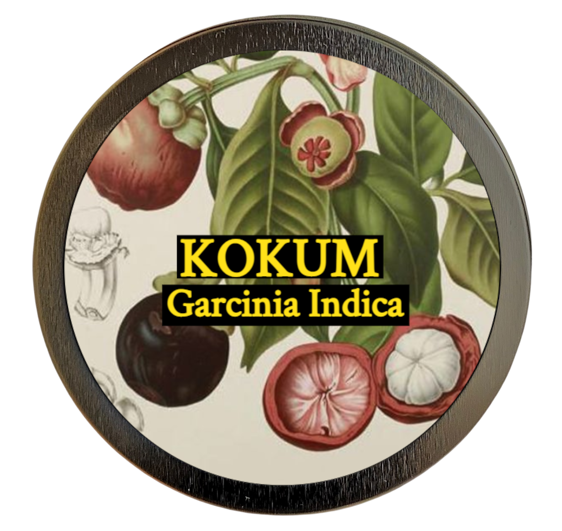 Kokum (Garcinia indica)