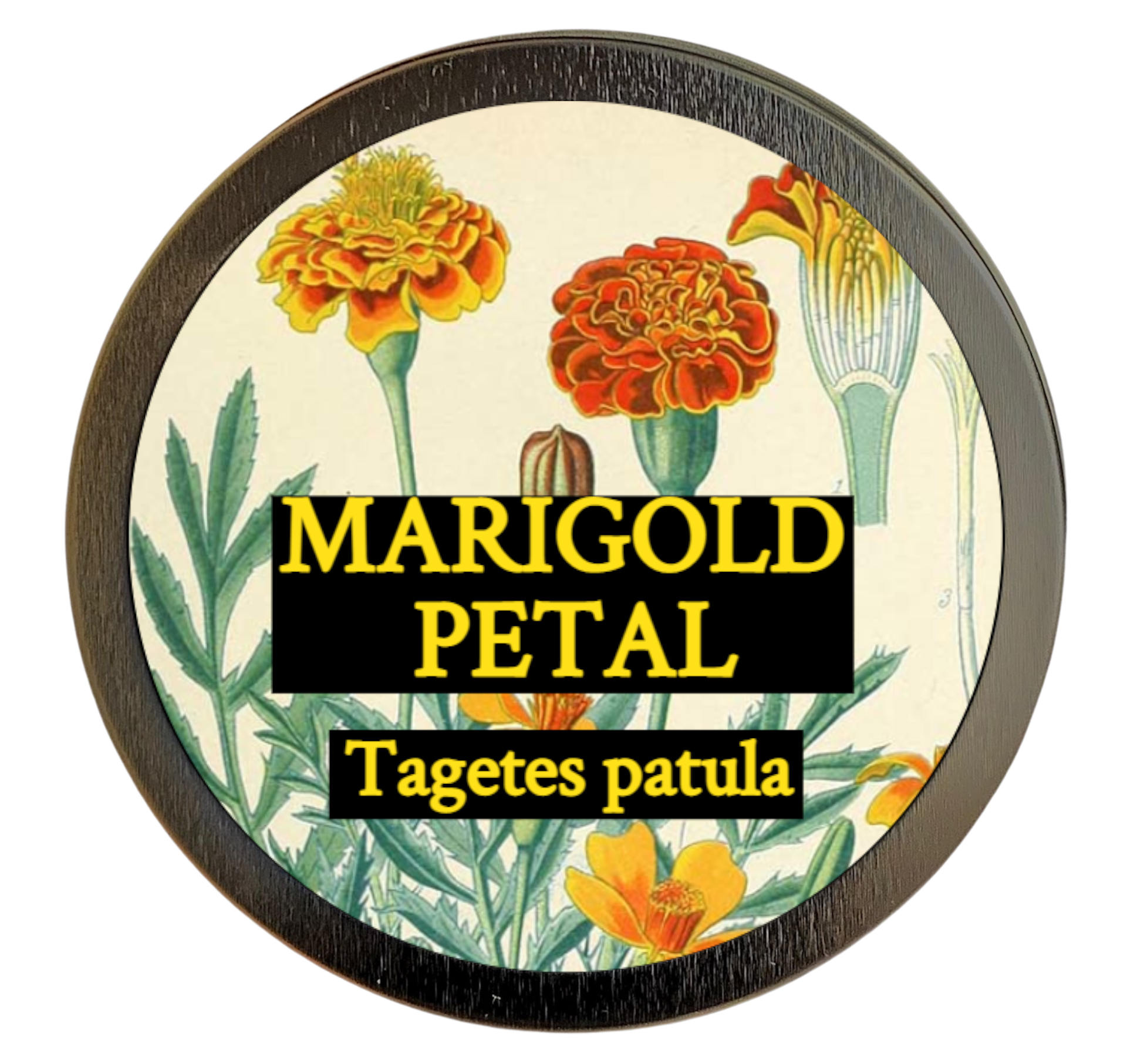 Marigold powder (Tagetes minuta pulveris)