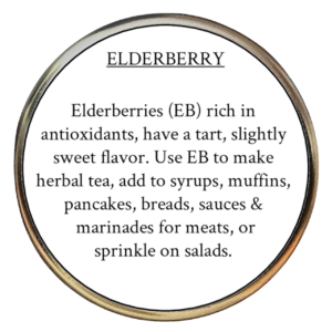 Elderberry (Sambucus lacinata)