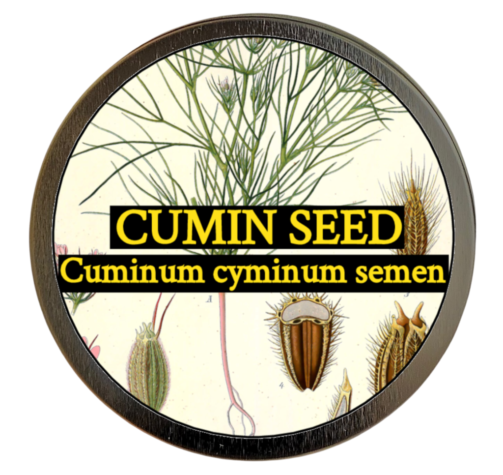 Cumin Seed (Cuminum cyminum) 