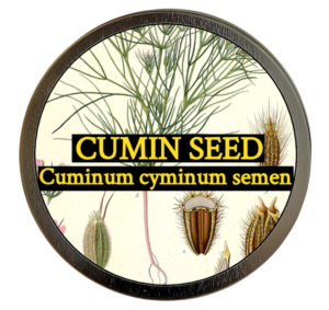 Cumin Seed (Cuminum cyminum) 